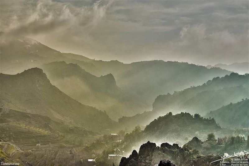Heaven on earth...  lebanon  tannourine  mountain  valley  heaven  earth ...
