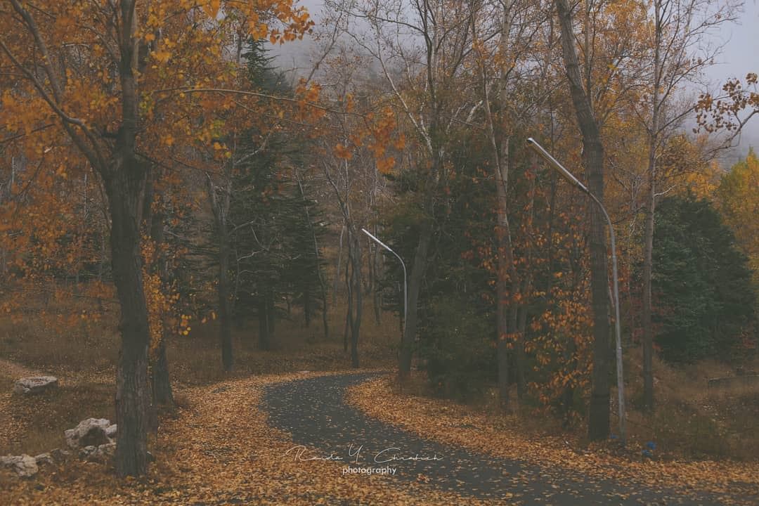 hello autumn 🍁🍂  autumn  naturephotography  landscapephotography ...