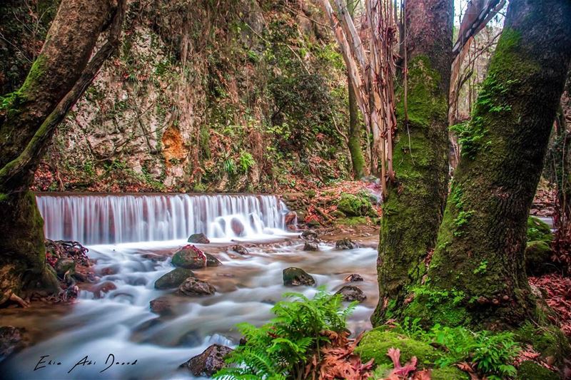 Hello Autumn 🍂  fall  autumn  waterfall  woods  forest  river  wilderness...