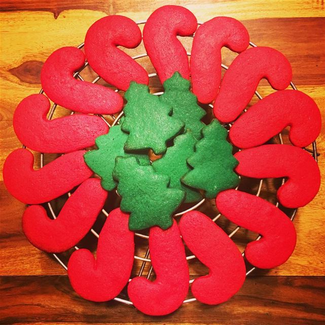 Hello Christmas 🎄 Get Your Cookies Now At @patzeesbakes. christmas ... (Beirut, Lebanon)