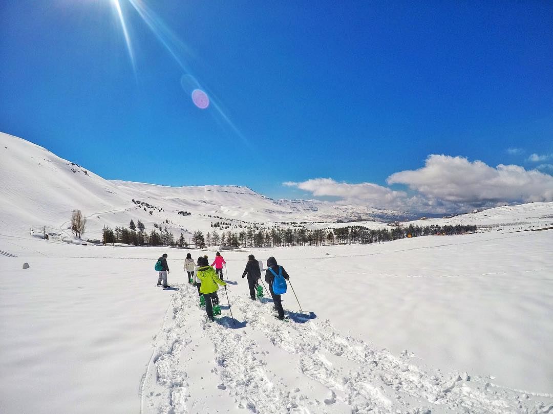 Hello winter ❄️ snowshoeing  livelovelebanon  snow  winterwonderland ... (Cedars of God)