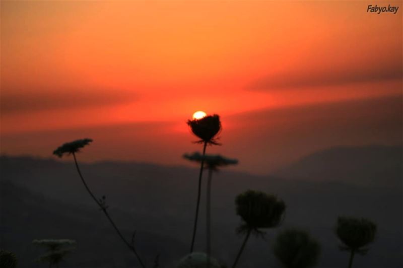 Here comes the sun, and I say it s all right...... (Chbânîyé, Mont-Liban, Lebanon)