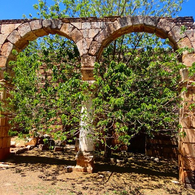 heritage oldarchitecture archleb history historique pasttreesarcarcharcades (`Anjar, Béqaa, Lebanon)