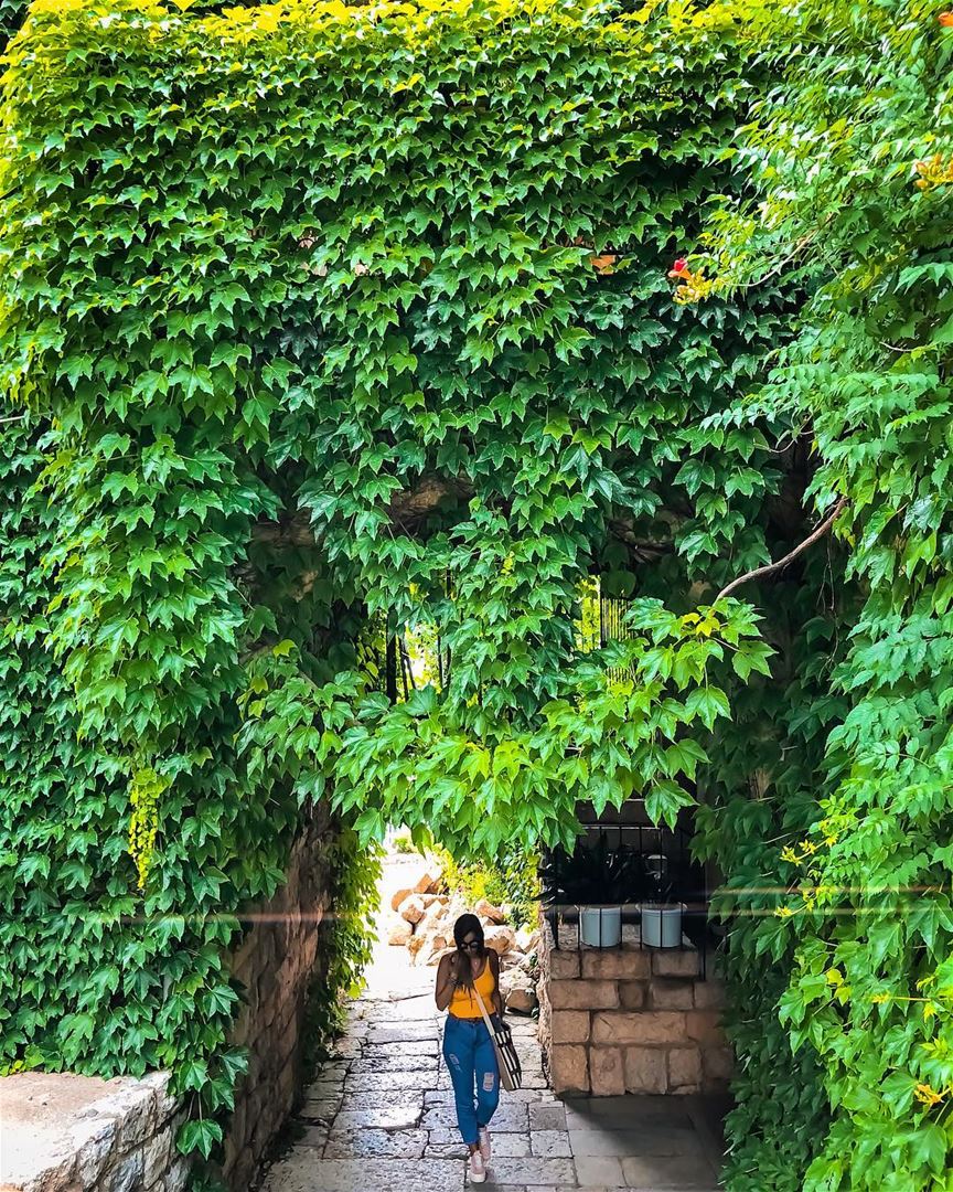 Hidden path 🏡😍 douma  lebanon ShotOnIphone..... moodygrams  ... (Douma, Liban-Nord, Lebanon)