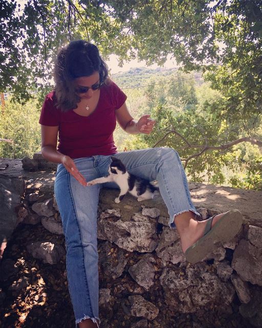 High five ✋🏼 🐱  zoe  pet  cat  babygirl   catsofinstagram  livelovepets... (Achkoute, Mont-Liban, Lebanon)