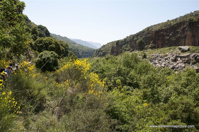Hiking in Wadi Al Mokhtara with Promax (Shouf Biosphere Reserve)