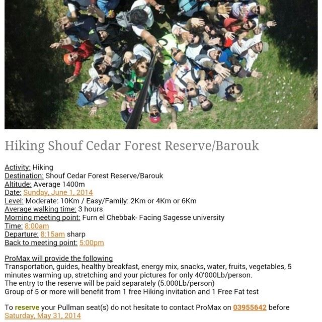 Hiking shouf cedars forest reserve lebanon eco activities...