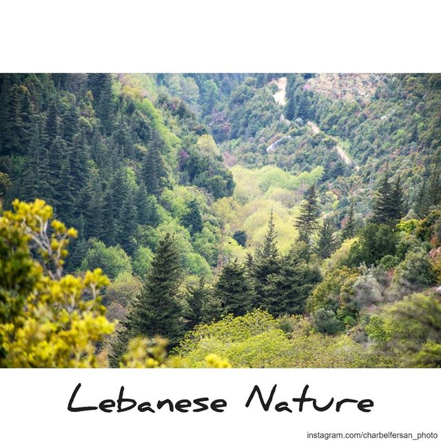 Hiking with @routeslb and exploring the beauty of the Lebanese nature... (Qannoubine Valley)
