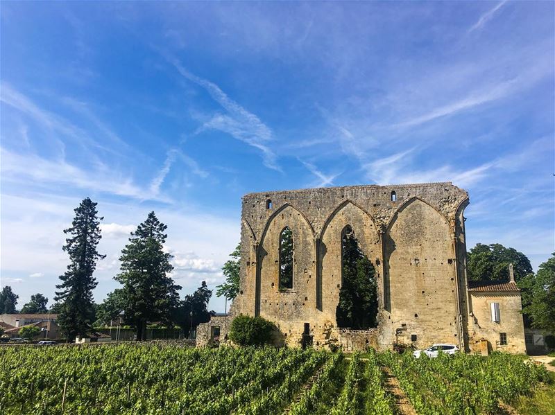 History,  Vineyard and nice weather in a picture... (Saint-Émilion)