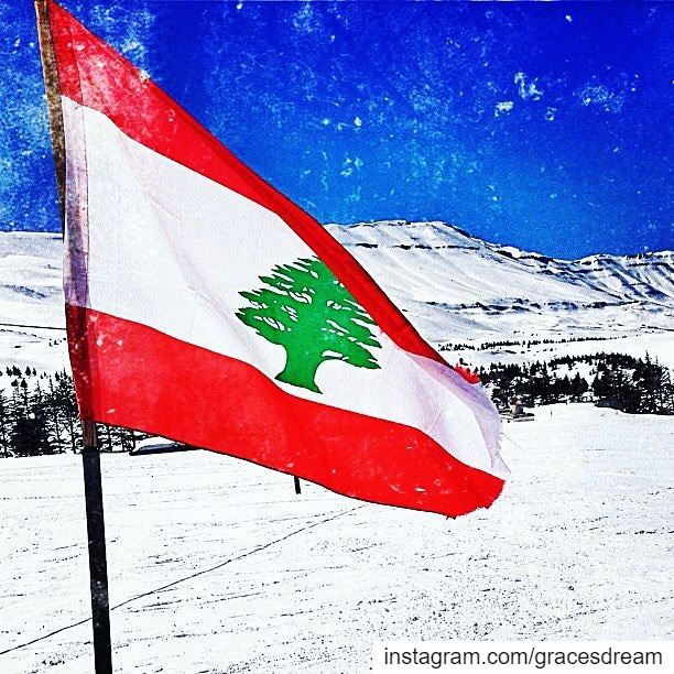 Hoping it becomes as pure as snow 🇱🇧❄️🇱🇧  DreamBig  DreamOn ... (Faraya, Mont-Liban, Lebanon)