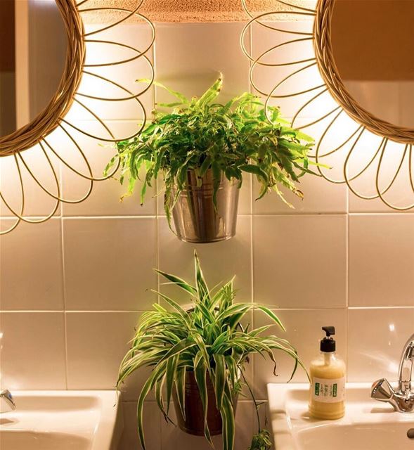 House plants, indirect lighting... these are part of what gives Beit El...