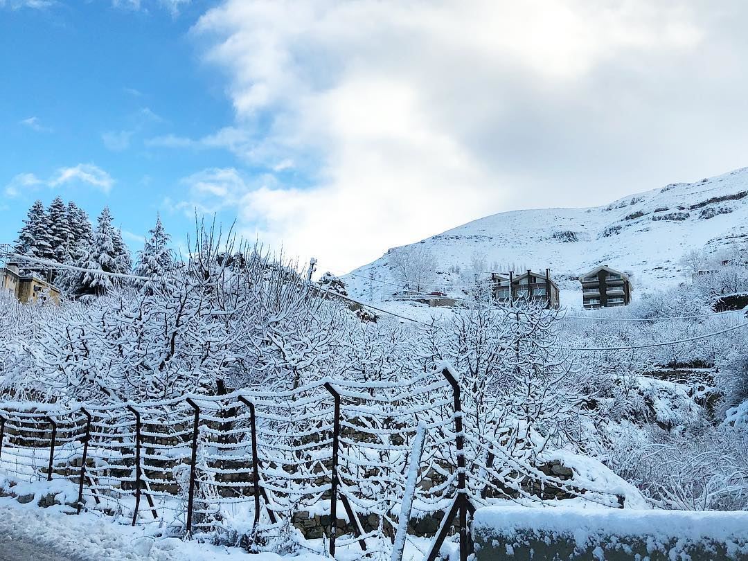How about waking up to see this?! ☃️❄️🌨 . snow  lebanon  faraya ... (Faraya, Mont-Liban, Lebanon)