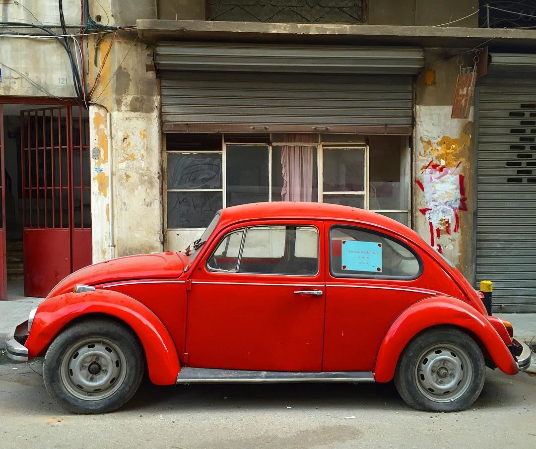 How gorgeous is she ? 🐞❤️  beetlebug  red  hot  love  picoftheday ... (Mar Mikhael, Beirut)