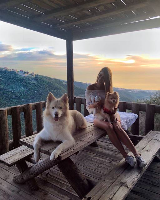 How I want every day to end 💫...... sunset  view  dogs  husky ...