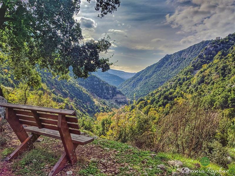 How long would you sit there? 🍃...Huawei Nexus 6P Phone... nature... (Kfardebian,Mount Lebanon,Lebanon)