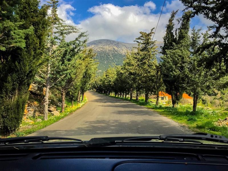 How road trips photos should look like 🌲🚙🌲----------------------------- (Botmeh El Shouf)