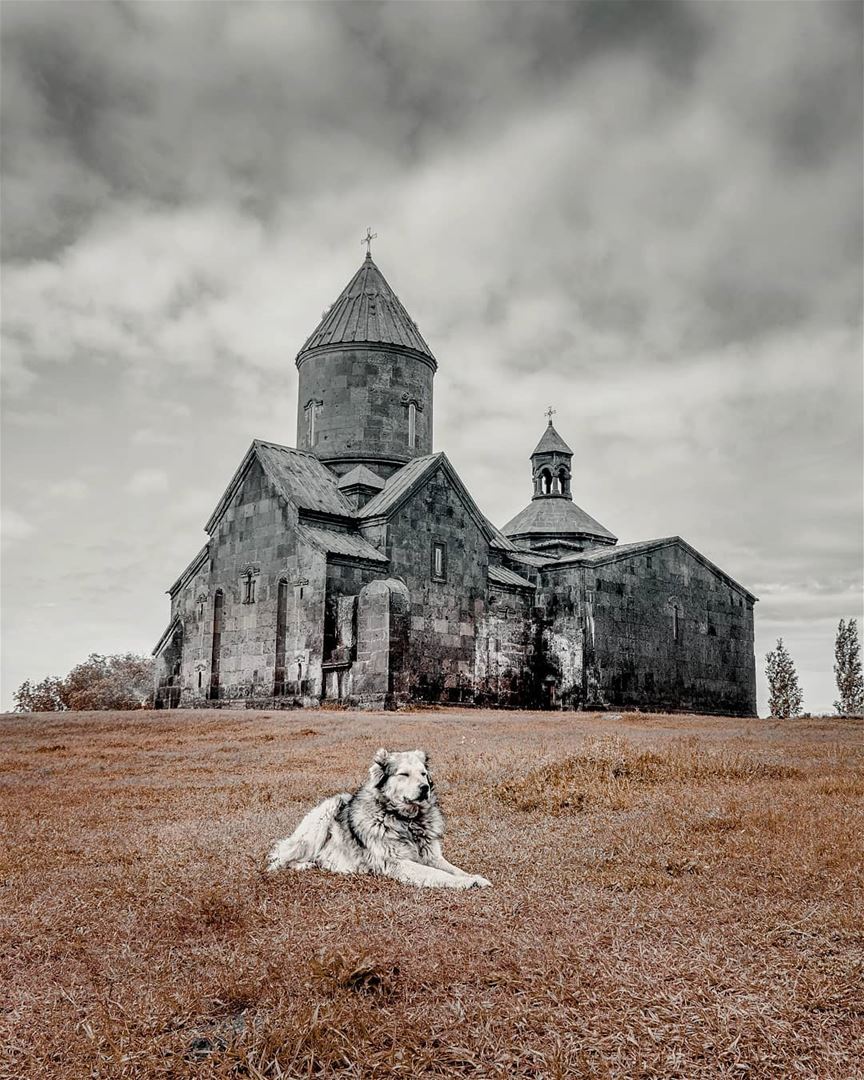 How to take photo poses 101  armenia  dog  nature  church  snapshot ... (Armenia)