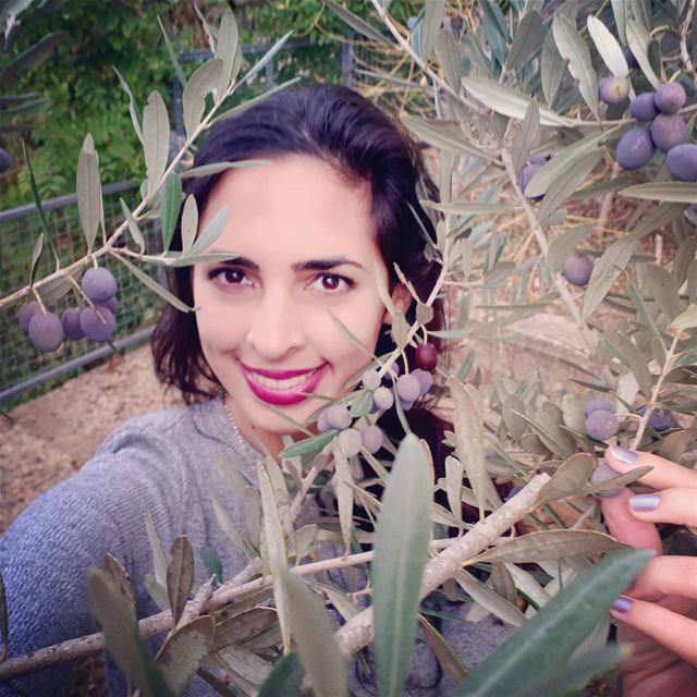 I am thinking of  olives  tree  garden 🌿  olivetree  nature  perfect  ... (Zeaitre-Villa Mountain)