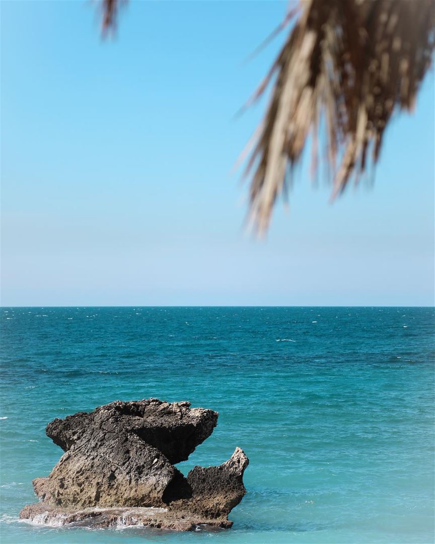 I can see clearly now the rain is gone  DOF  Sea  Beach  Spring  Summer ... (KAPTN Batroun)