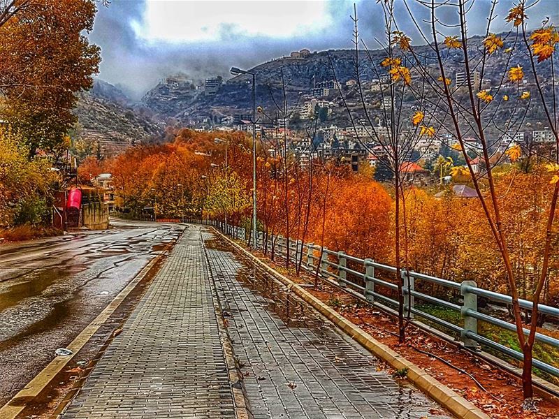 "I don't know where my road is going, but I know that I walk better when I... (Mount Lebanon Governorate)