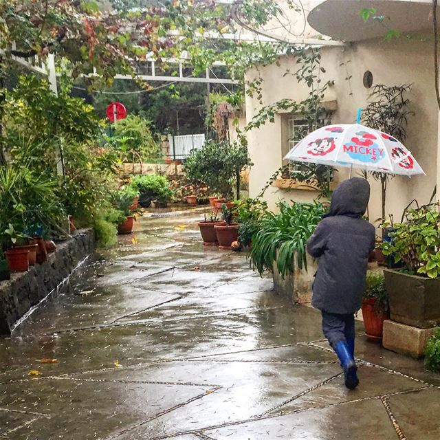 I got sunshine on a rainy day ☂️ آخر ايام الشتوية... (Jamhoûr, Mont-Liban, Lebanon)