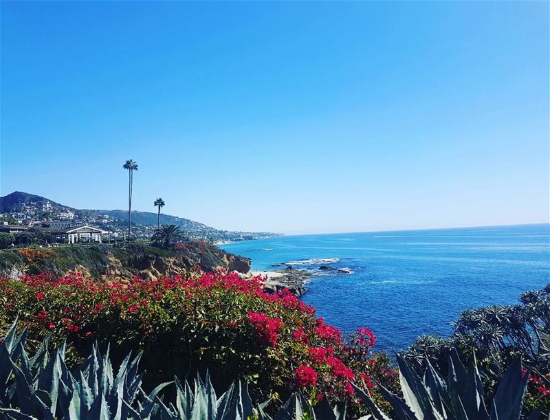 I have come to believe that this is a mighty continent which was hitherto... (Laguna Beach, California)