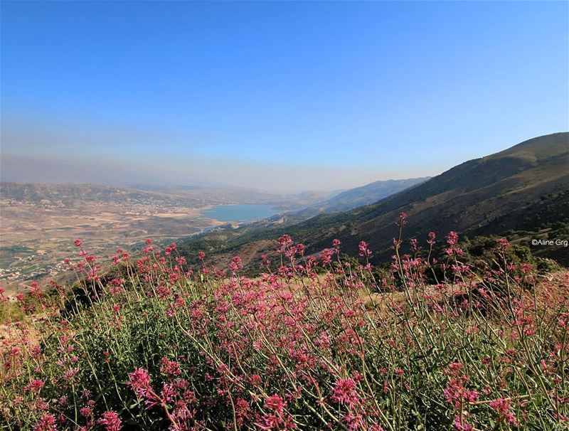 [..i just want to escape] escape  bekaa  valley  mountain  nature ... (Barouk Mountain)