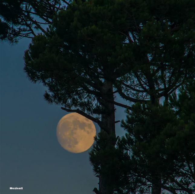 I look at the moon and it looks really beautiful!.. Then I look at you...... (Kfar Hoûné, Al Janub, Lebanon)