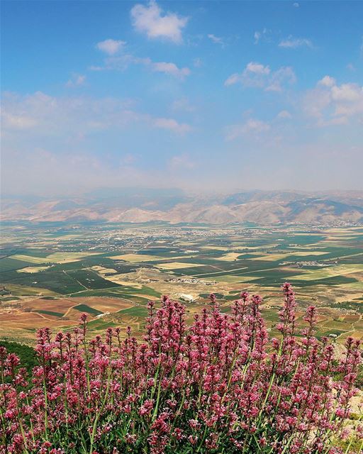 • I Miss This Place so Much !! • 💚 bekaa  valley  summer  view  outdoor ... (Barouk Mountain)