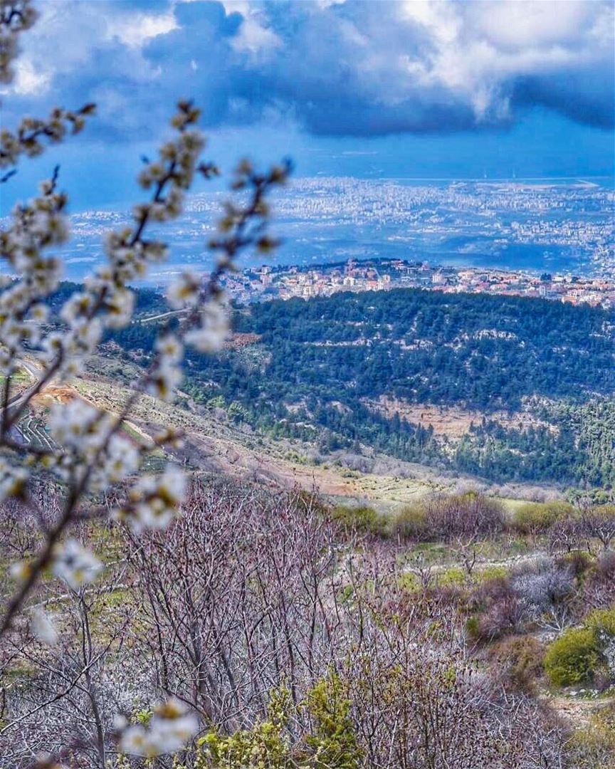 I see skies of blue And clouds of white The bright blessed day The dark... (Ehden, Lebanon)