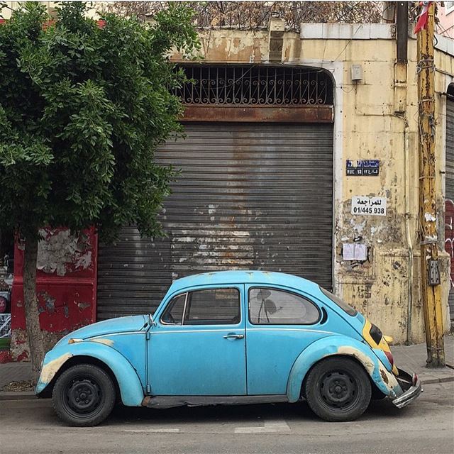 I think about you a little more than I should 🚙😂💙 ........ VW ... (Beirut, Lebanon)