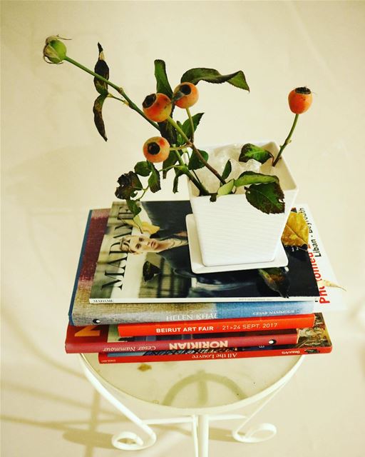 I want a man who sends me books, the way other men sends flowers!!! ...
