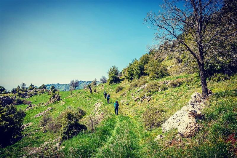 I would rather be walking this path than posting this  travelbloggers ... (`Akkar, Liban-Nord, Lebanon)