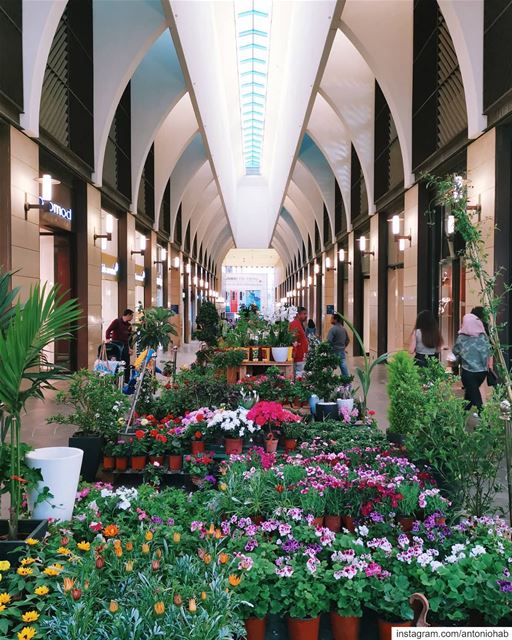 If it's not Spring out there, bring it in 💐 (Beirut Souks)
