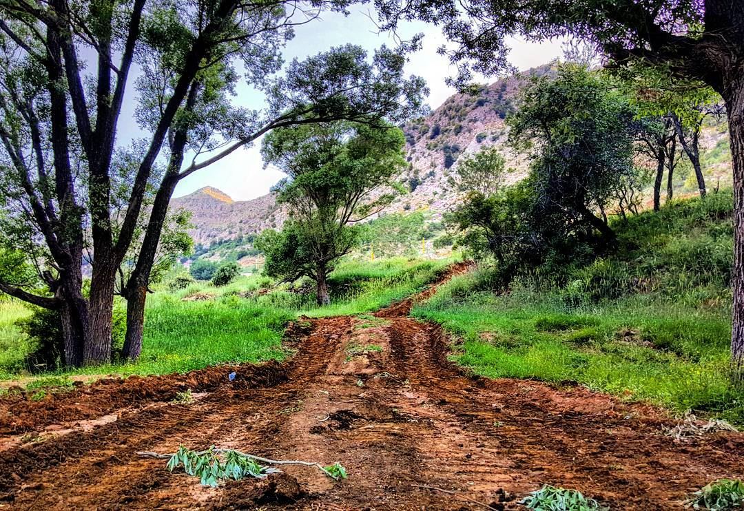 If you can't find a way then make your own. mycountrylebanon Tannourine ...