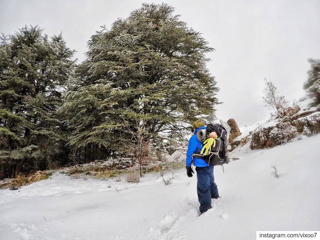 If you think adventures are dangerous, try routine.... snow  snowday ... (Arz Tannoûrîne)