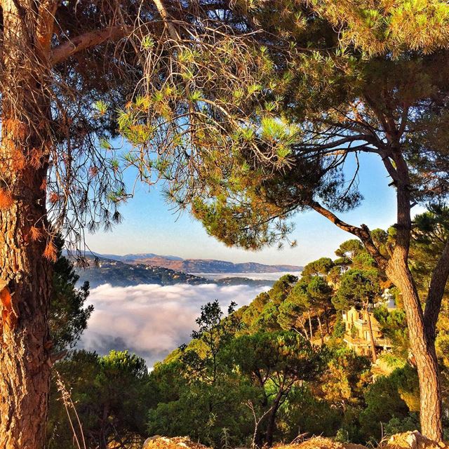 If you want to make your DREAMS came true, the first thing to do is Wake... (Bois De-Boulogne, Mont-Liban, Lebanon)