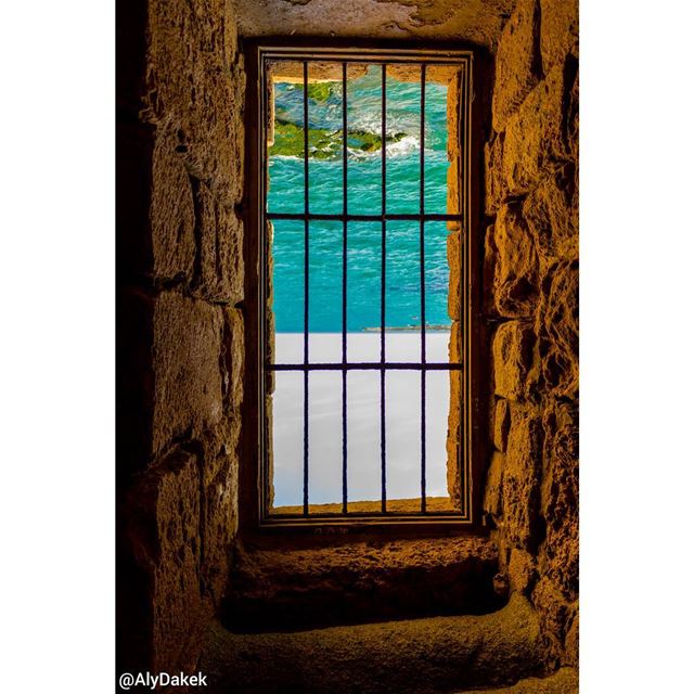 Imagination is a beast that has to be put in a cage. ~ Timothy Spall.... (Sidon Sea Castle)