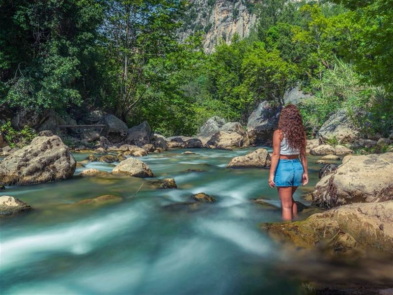 Immerse yourself in nature & like a river, go with the flow!📸 @jihad.asma (Nahr Ibrahim, Mont-Liban, Lebanon)