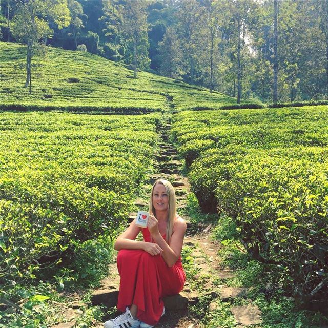In Ireland we say a cup of tea makes everything better ...no matter how... (Nuwara Eliya,Sri Lanka ''නුවර එලිය'')