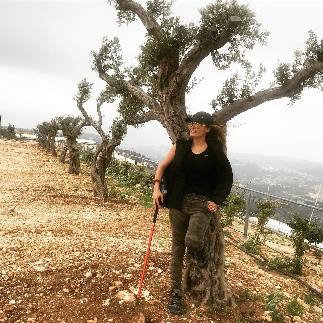 In love with olive trees 🌳 @ghalboun.village  naturelover hiking... (Ghalboun Village)