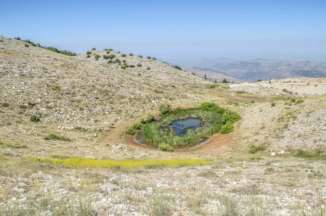 In the middle of  nowhere 💛🇱🇧............... Lebanon ... (Al Shouf Cedar Nature Reserve)
