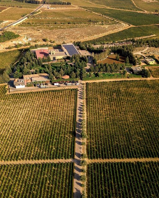 Incrível vista aérea do Chateau Kefraya, segunda maior vinícola do Líbano.... (Château Kefraya)