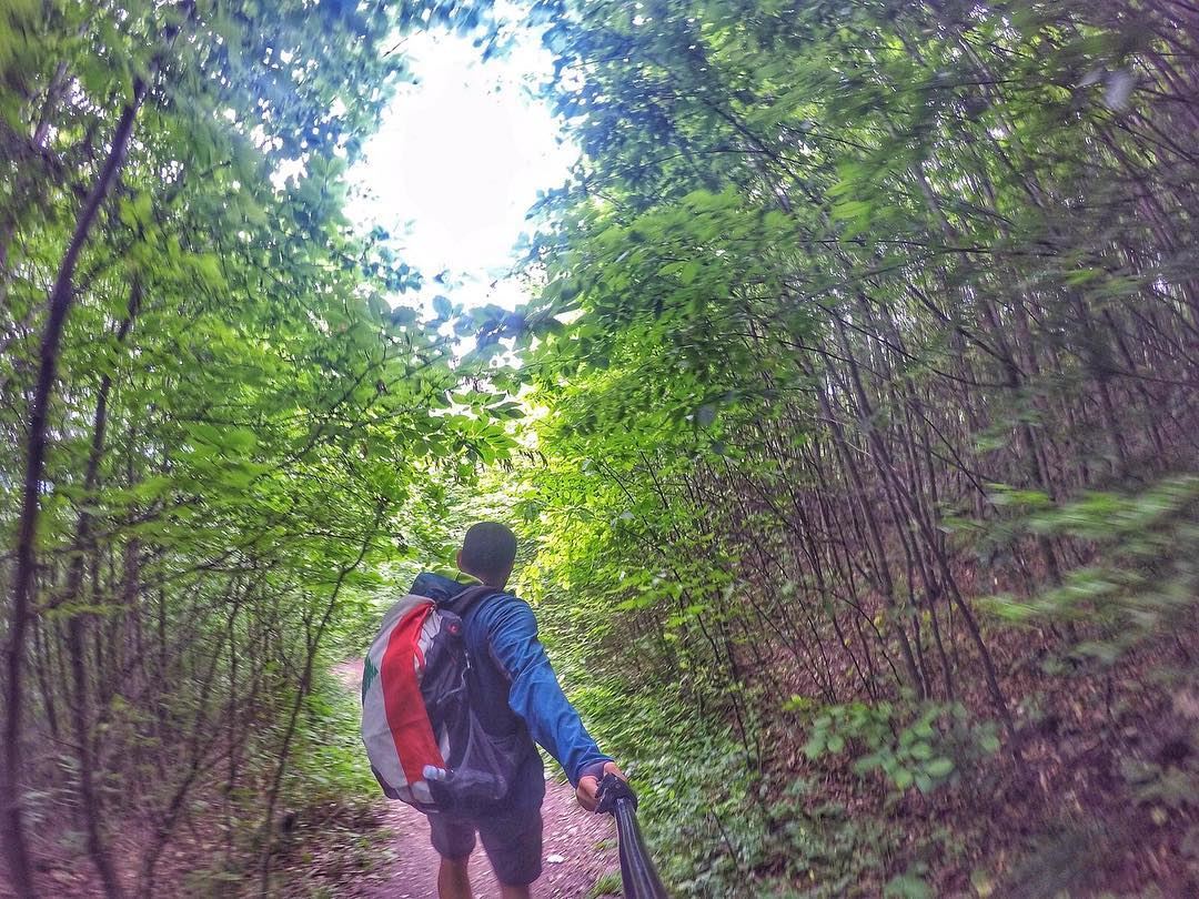 Into the Jungle... hiking  hikingtrail  hikeitout  outdoor  outdoorsman ...