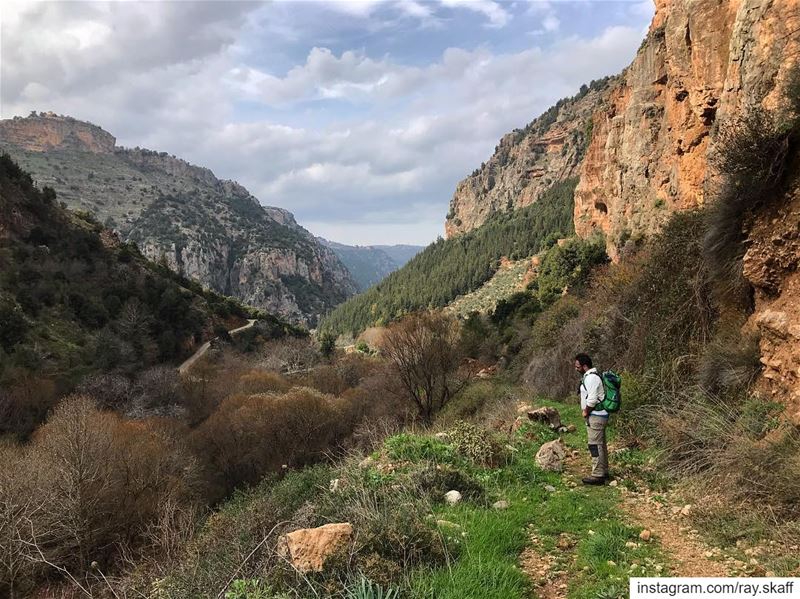 Into The Valley‼️.... ............... lebanon  nature ... (Into The Wild)