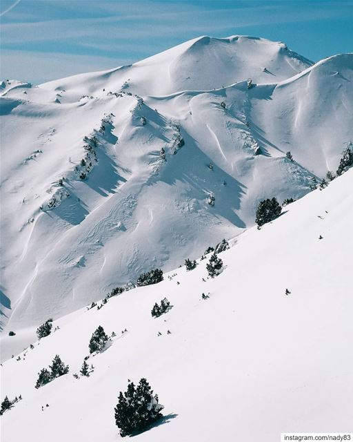 Into the white. backcountryskiing skitouring lebanon snow  ski ...