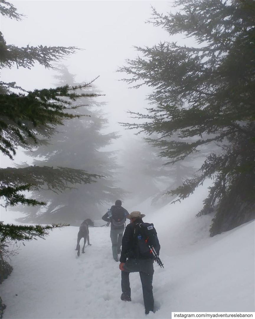 Into the wild 🗻 myadventureslebanon mountaineering  choosemountains ... (Lebanon)