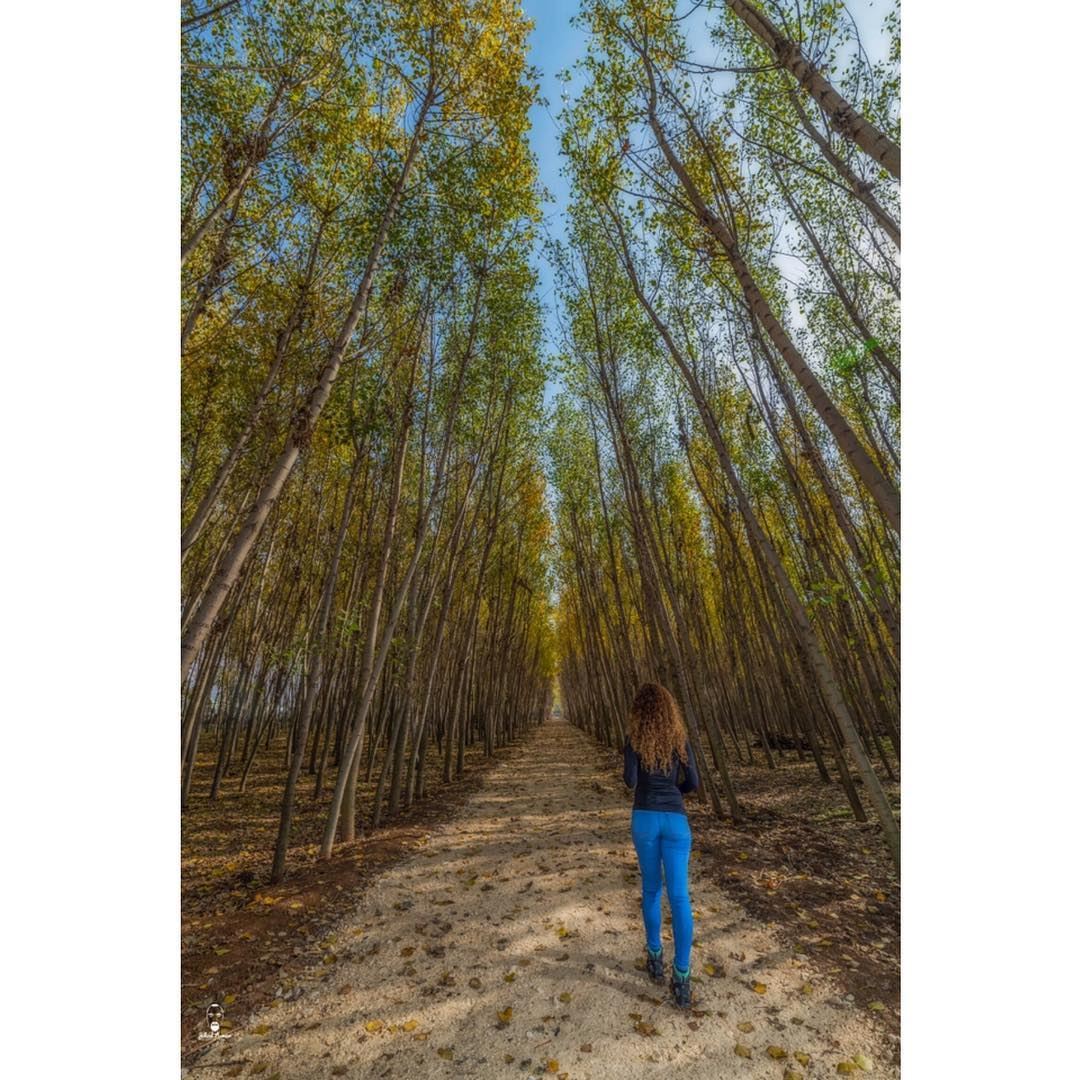 Into the woods!!🤓🤓... (Beqaa Valley)
