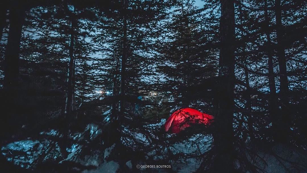 Into the woods❗️🎈-- camping  georgesboutrosphotography  lebanon ... (The Cedars of Lebanon)