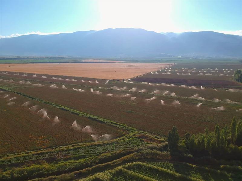  irrigation agriculture_global agriculture water landscape greenland bekaa... (West Bekaa)
